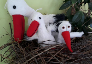 Bocianie gniazdo u krasnali w klasie