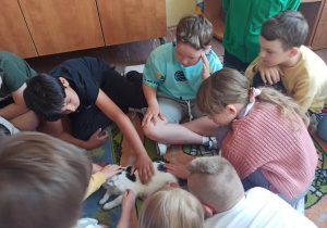Wielką frajdę sprawiła możliwość pogłaskania kota.