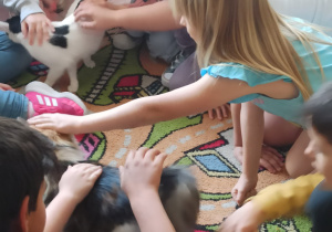 Wielką frajdę sprawiła możliwość pogłaskania kota.