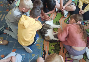 Wielką frajdę sprawiła możliwość pogłaskania kota.
