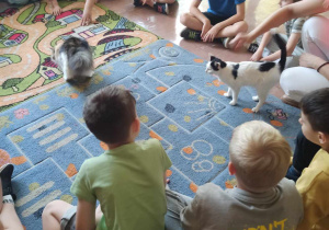 Wielką frajdę sprawiła możliwość pogłaskania kota.
