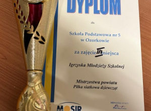 Mistrzostwa Powiatu w Piłce Siatkowej Dziewcząt