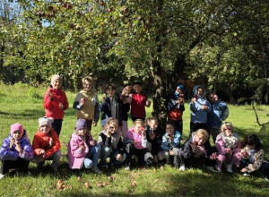 Koty w butach w sadzie