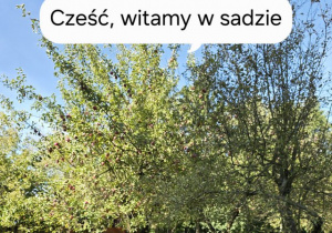 Dzieci podziwiają sad.