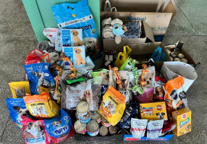 Karma i akcesoria zebrane przez uczniów