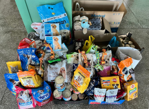 Finał zbiórki dla schroniska!