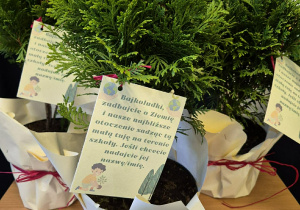 Ekoupominek- tuja dla każdej klasy.