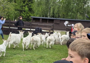 Uczniowie klas drugich podczas wycieczki