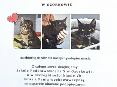Tydzień Dobrych Uczynków w Piątkolandii