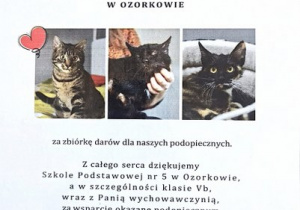 Podziękowania dla organizatorów akcji