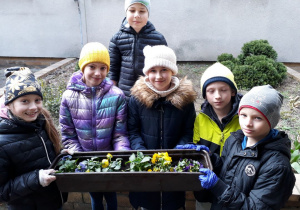 Uczniowie trzymają skrzynkę z bratkami.