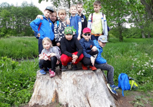 Grupa mieszana na pniu starego drzewa.