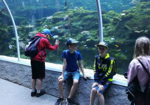 4 dzieci ogląda ryby w akwarium.