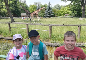 3 dzieci pozuje do zdjęcia z żyrafą.
