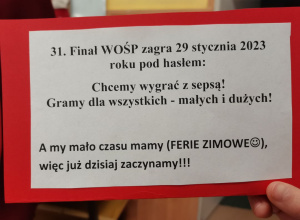 Finał WOŚP w Bajkolandii