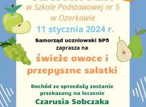 Podsumowanie i podziękowania - Owocowy czwartek dla Czarusia Sobczaka Pomóżmy i My!!!
